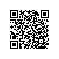 衛(wèi)生間馬桶扶手-不生銹/不褪色【藍品盾】