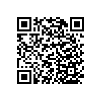 衛(wèi)生間墻上扶手拉桿-款式尺寸可定制【藍品盾】