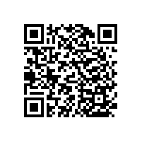 衛(wèi)生間上翻式扶手廠家直銷免費(fèi)取樣【藍(lán)品盾】