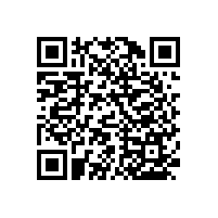 衛(wèi)生間無障礙扶手廠家【藍(lán)品盾】