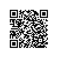 衛(wèi)生間無障礙扶手-藍(lán)品盾