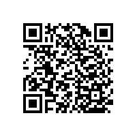 衛(wèi)生間無障礙輔助扶手還能有這樣的款式？【藍(lán)品盾】