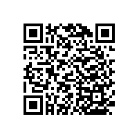 衛(wèi)生間要不要裝馬桶扶手【藍(lán)品盾】