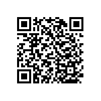 衛(wèi)生間浴室扶手安裝形狀知道多少？