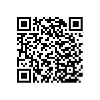 衛(wèi)生間一字扶手簡(jiǎn)約實(shí)用【藍(lán)品盾】