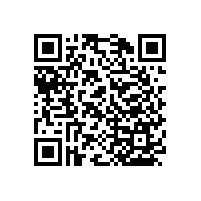 衛(wèi)生間坐便扶手