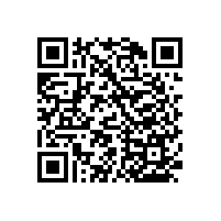 衛(wèi)生間坐便扶手/安裝簡(jiǎn)單/方便承重【藍(lán)品盾】