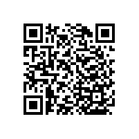 衛(wèi)生間折疊扶手掛墻式設(shè)計(jì)不占空間【藍(lán)品盾】