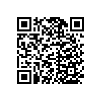 【溫文儒雅】衛(wèi)生間扶手木制