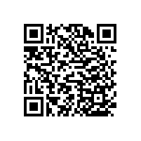 衛(wèi)浴扶手哪家好 廣州藍(lán)品盾廠家廠價(jià)直銷