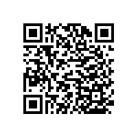 衛(wèi)浴扶手哪家好 有什么挑選技巧嗎