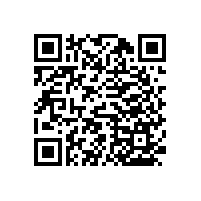 衛(wèi)浴扶手【藍(lán)品盾】多年生產(chǎn)廠家直銷