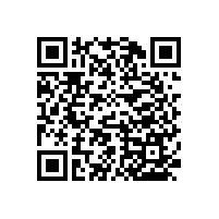 無障礙廁所扶手/易握防水【藍(lán)品盾】