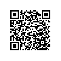 無(wú)障礙單層扶手減少老年人的安全隱患