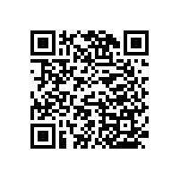 無障礙多功能組合扶手，實用貼心【藍品盾】