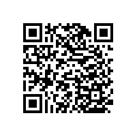 無障礙扶手生產(chǎn)廠家【藍(lán)品盾】