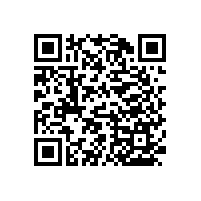 無障礙公廁扶手&安全抓桿廠家-藍品盾