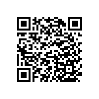 無障礙老人扶手/耐污處理/色澤均勻【藍品盾】