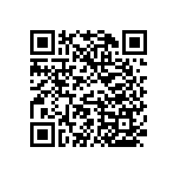 無障礙馬桶扶手便捷省空間【藍(lán)品盾】