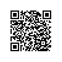 無障礙實(shí)木防護(hù)扶手經(jīng)過清漆處理【藍(lán)品盾】