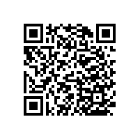 無障礙通道扶手6000家客戶選擇【藍(lán)品盾】