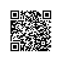 無障礙衛(wèi)生間不銹鋼扶手抗菌不易生銹【藍品盾】