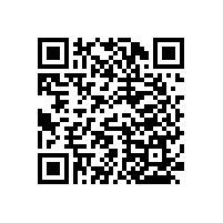 無(wú)障礙衛(wèi)生間扶手的尺寸和款式【藍(lán)品盾】