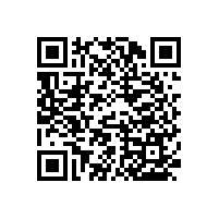 無障礙衛(wèi)生間扶手-手感舒適【藍品盾】