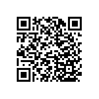 無障礙衛(wèi)生間扶手使用場景搭配-藍(lán)品盾