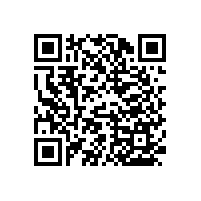 無障礙衛(wèi)生間扶手新穎款式，藍品盾工廠定制