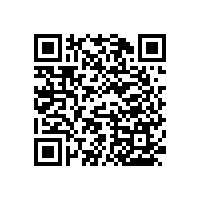 無障礙醫(yī)用扶手研發(fā)出多少款式？【藍(lán)品盾】