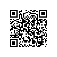 無障礙坐便器不銹鋼扶手【藍品盾】