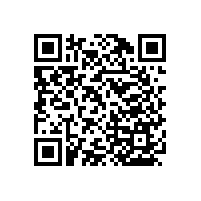 無障礙坐便器扶手【藍品盾】