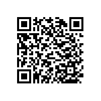 西安殘疾人服務(wù)中心定制新款無障礙扶手【藍品盾】