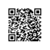 西安市哪個市場買衛(wèi)生間扶手，藍品盾告訴您！