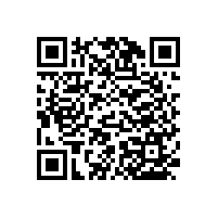 【新款】不銹鋼一字型扶手，花紋多樣可選