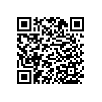 洗手間扶手圖知多少【藍品盾】