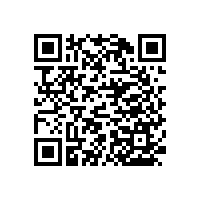 移動(dòng)無(wú)障礙扶手成為“老齡化的必需品”【藍(lán)品盾】