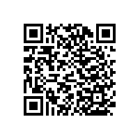 幼兒園衛(wèi)生間殘疾人扶手有哪些款式？