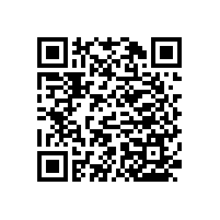 預(yù)防廁所跌倒、摔傷的小工具-殘疾人衛(wèi)生間墻上扶手