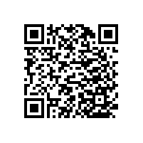 有了廁所蹲起扶手為老人晚年生活保駕護(hù)航【藍(lán)品盾】