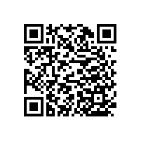 養(yǎng)老院扶手多少錢(qián)一米？【藍(lán)品盾】