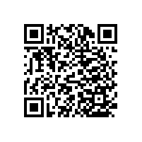 養(yǎng)老院衛(wèi)生間浴盆扶手選擇這款不占空間的吧！