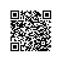 浴室防滑扶手/輕松借力/預(yù)防不測【藍(lán)品盾】