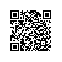 浴室老人扶手/結(jié)實(shí)便利【藍(lán)品盾】