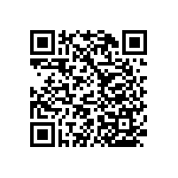 浴室無障礙扶手-材質(zhì)溫和不生銹【藍(lán)品盾】