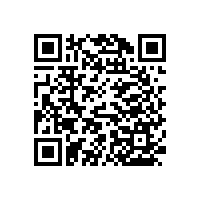 醫(yī)院的PVC走廊的無障礙扶手生產廠家【藍品盾】