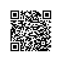 醫(yī)用防跌扶手的質(zhì)量好嗎？【藍(lán)品盾】