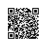 醫(yī)用扶手不一樣的風(fēng)格【藍(lán)品盾】