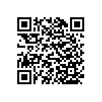 醫(yī)院靠墻扶手批發(fā)廠家直銷【藍(lán)品盾】